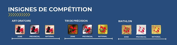 Insignes de compétition